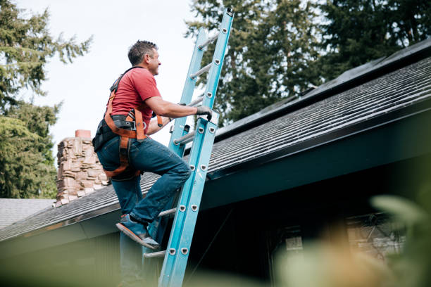 Professional Roofing in Mahomet, IL